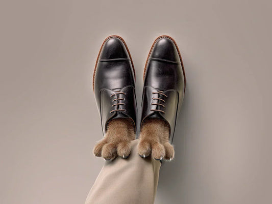 Come Allargare le Scarpe: Guida Completa 2026 con Metodi Efficaci e Rimedi Casalinghi - Old Money®